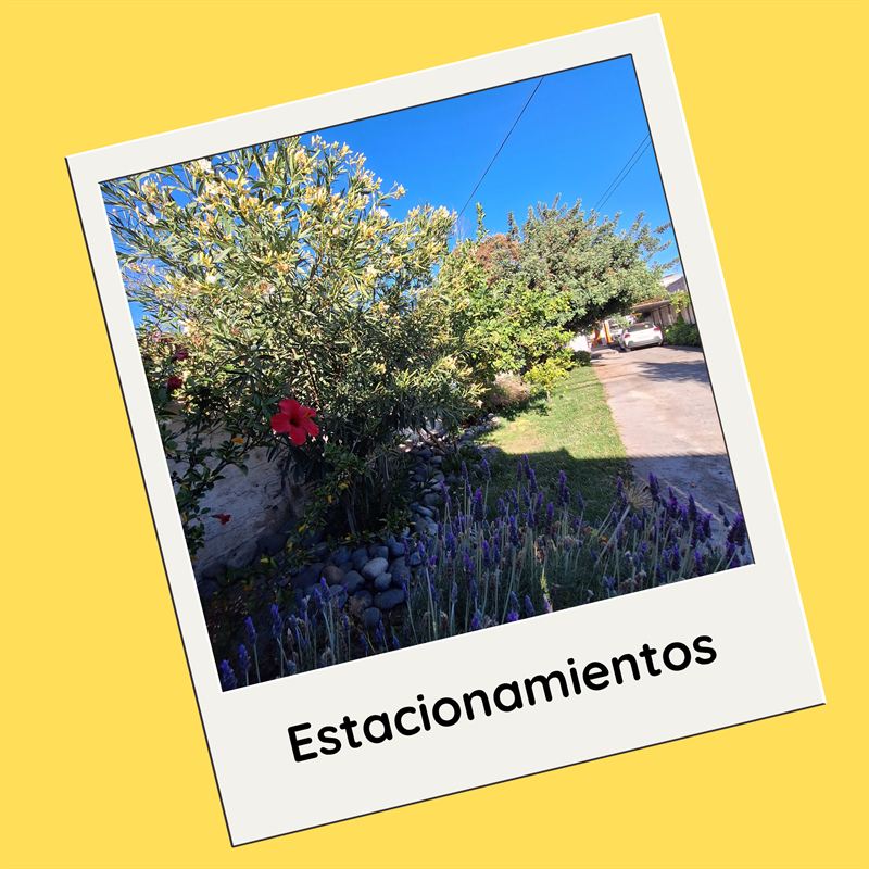 Estacionamientos: acceso para autos junto a un jardín con arbustos y flores.