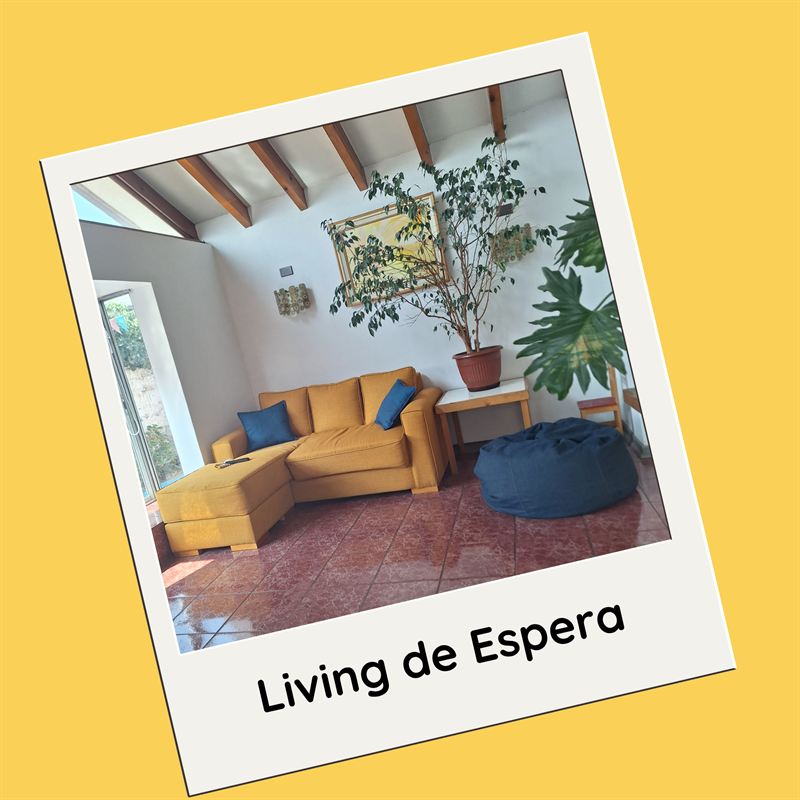 Living de espera: sala luminosa con sofá amarillo, puf azul y plantas.